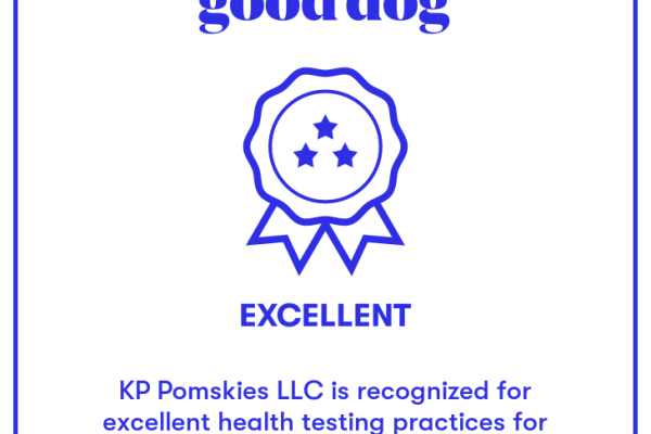 Excellent Badge - Good Dog