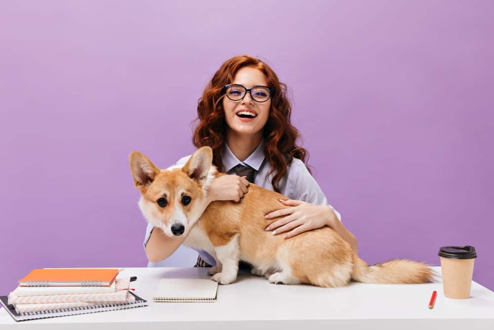 Stereotypes about Keeping a Dog by Students