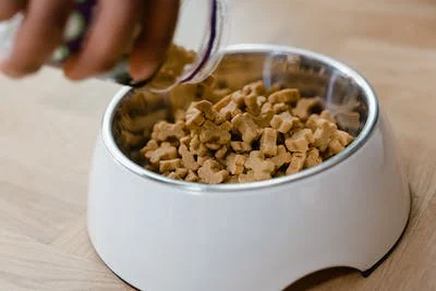 5 Tasty Pet Treats Every Dog Owner Can Try