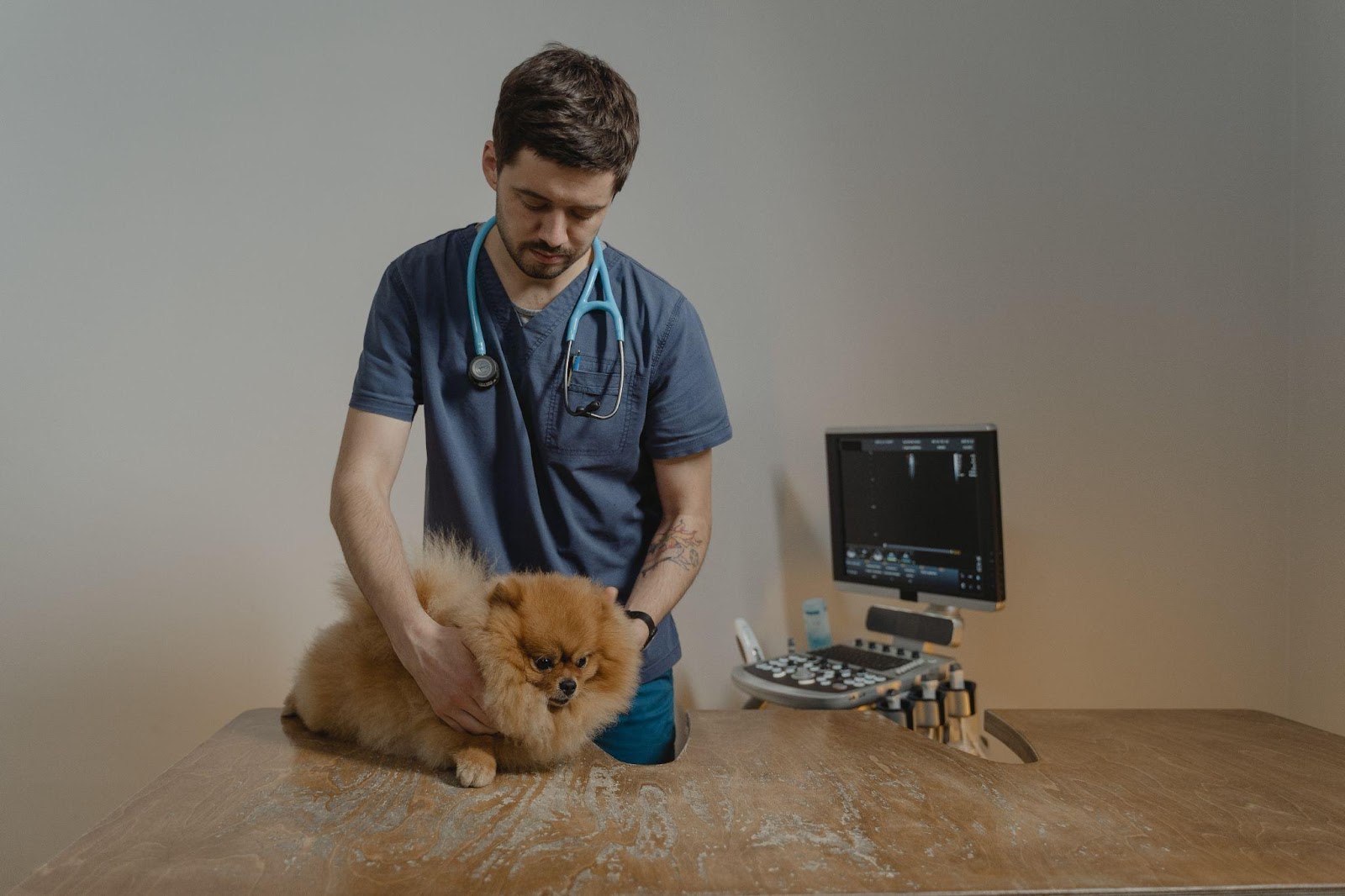 How to choose the right veterinarian for  your pet