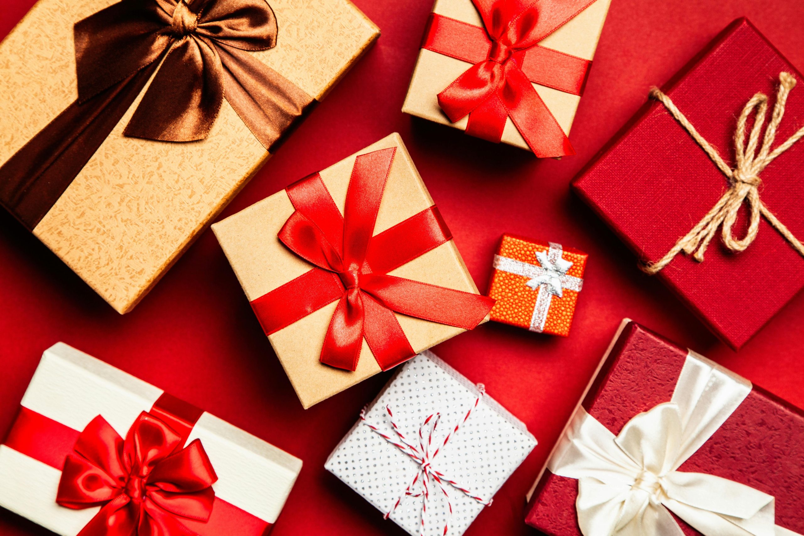 The Charm of Meaningful Giving: 6 Unique and  Story-Filled Gifts for Animal Lovers